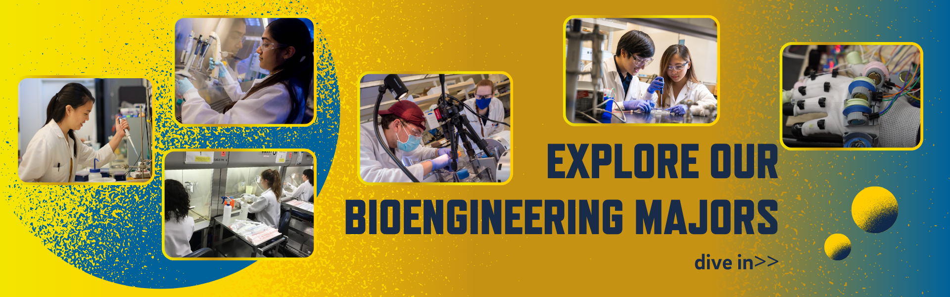 Home Shu Chien Gene Lay Department Of Bioengineering